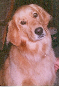Bailey Mae
