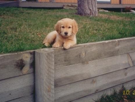 Easter 1999