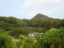 Lamma island - greenery, sea air and no cars!