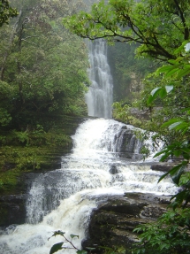 McLean falls