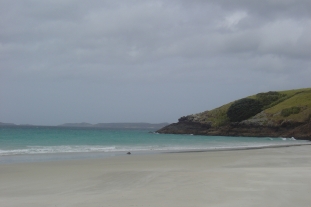 Pukeiki beach at bay of islands