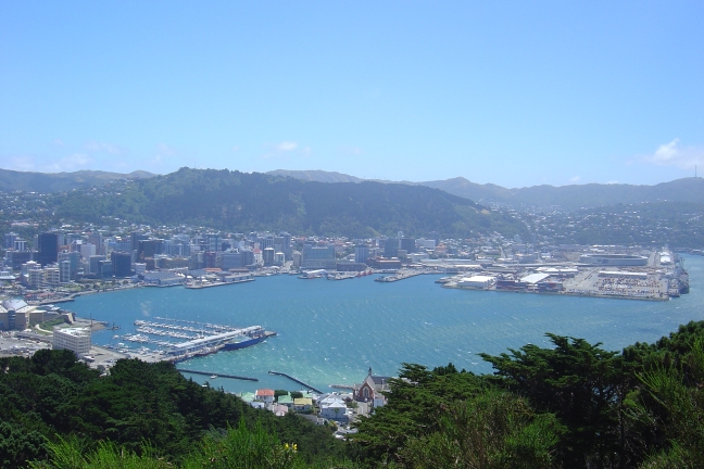 Wellington from Victoria Point