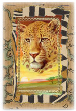 A cover from an Africa deco