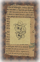 A cover from my deco