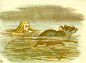 alice05.jpg
