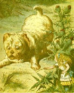 alice08.jpg