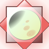 pp2b30d29f.png
