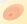 pp305a0a40.png