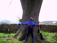 Fotografia feta al roure del Giol, arbre monumental que est� a Santa Coloma Sasserra