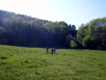 Cr�ter del volc� d'en Ti�