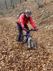 El Llu�s pel cam� de baizada a Santa Fe del Montseny, les fulles de faig tapan mitja roda
