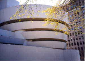 Guggenheim Museum by Rhys Edwards