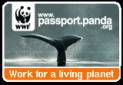 WWF International