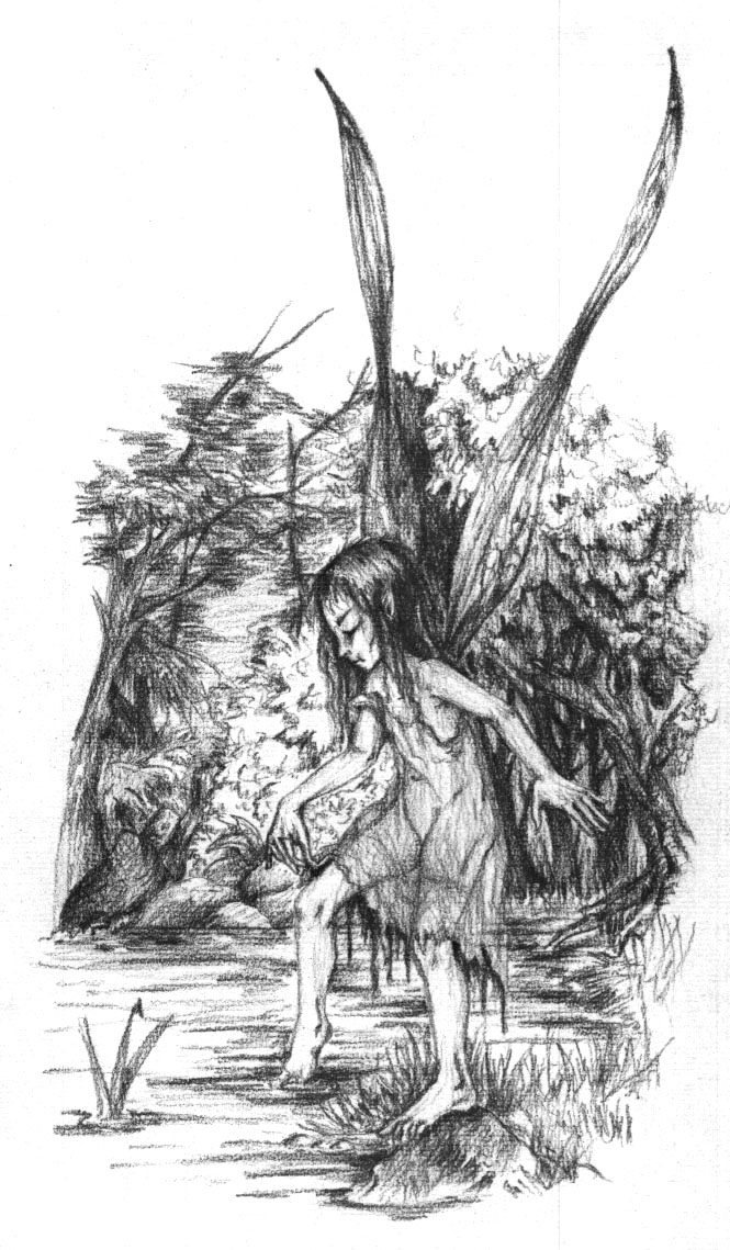 Fairy