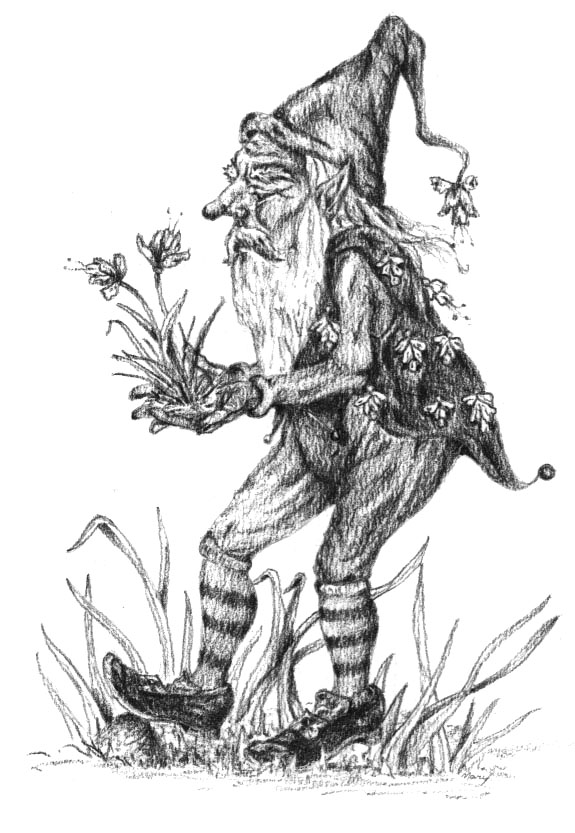 Gnome
