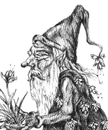 Gnomo