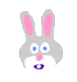rabbit