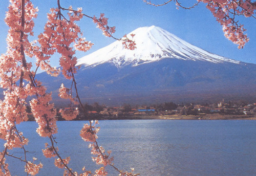 Mt.Fuji