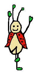 ladybird
