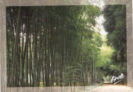 Bamboo Bush