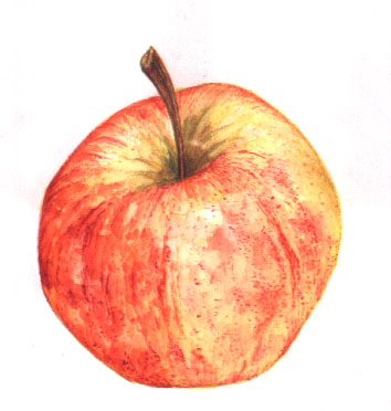 apple
