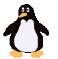 penguin