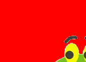 Animated gifs