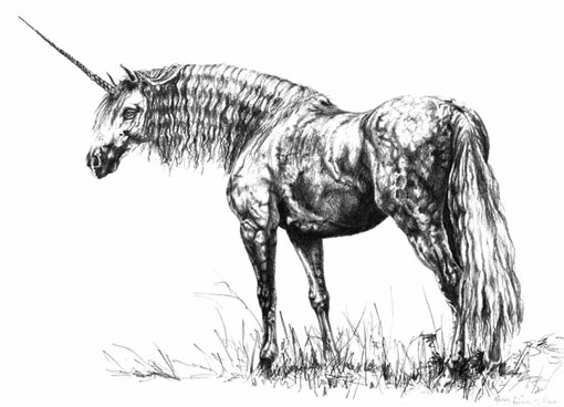 The unicorn