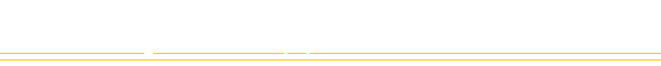 The Burger Wrapper