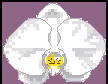 Phal. Atien Nasu