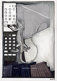 Lizard