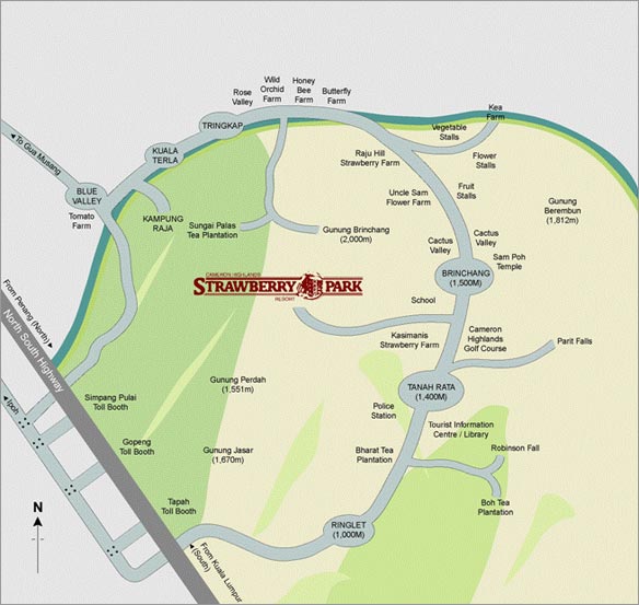 Strawberry Park