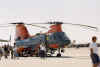 airshow04.jpg (29467 bytes)