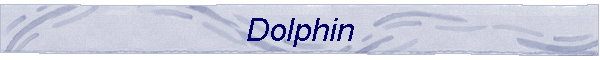 Dolphin