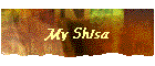 My Shisa