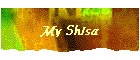 My Shisa
