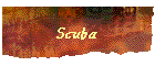 Scuba