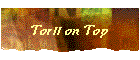 Torii on Top