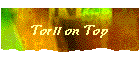 Torii on Top