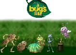 Bichos