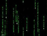 Matrix