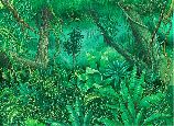Jungla