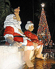 Honolulu City Lights