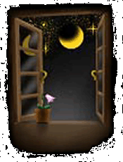 the beautiful night..