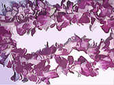 orchid lei!