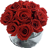 i love you!