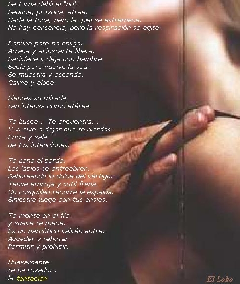 Cuerpo