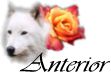 Entar a la Cueva Principal de Relatos y Poemas