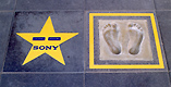Foto: Menno Schmidt