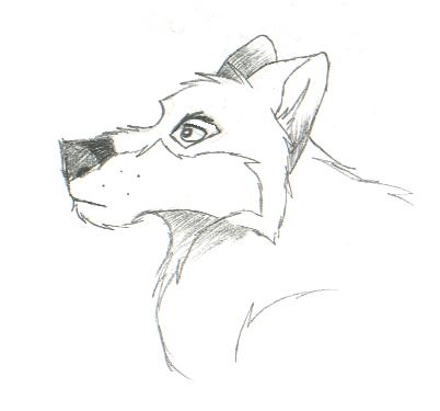 Realistic, cartoons, and more all drawn by me.